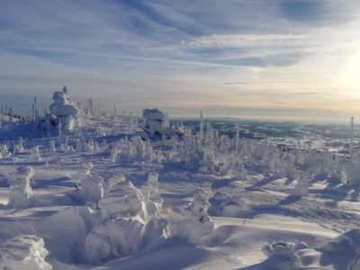 Jugend Wintertag 2019 21